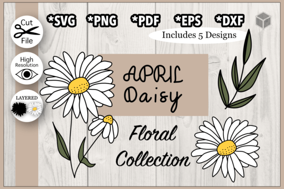 Download April Daisy Flower Illustration Set - Set Collection