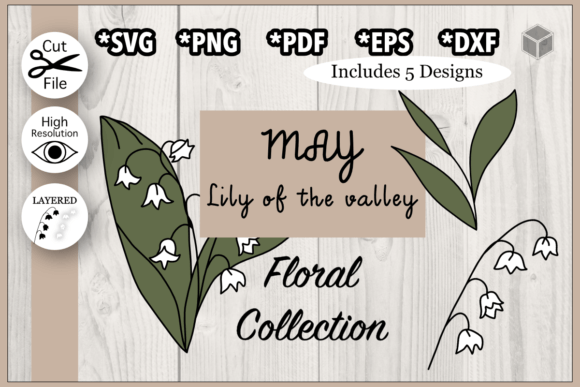 Download May Lily Flower Illustration Set - Set Collection