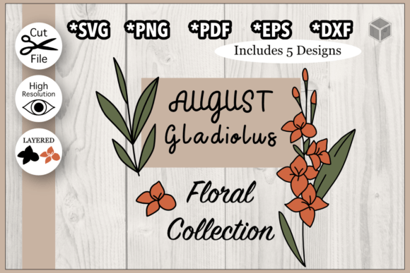 Download August Gladiolus Flower Illustration Set - Set Collection