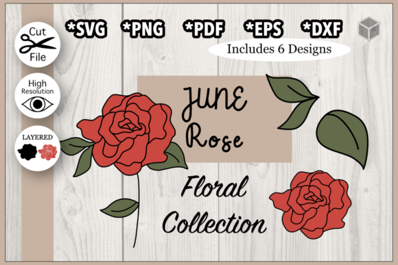 Download June Rose Flower Illustration Set - Set Collection