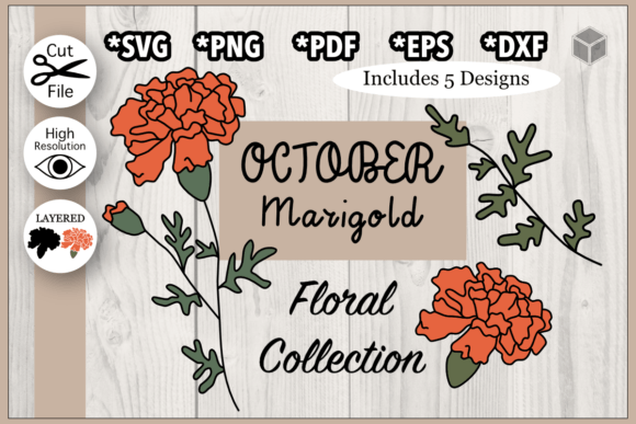 Download October Marigold Flower Illustration Set - Set Collection