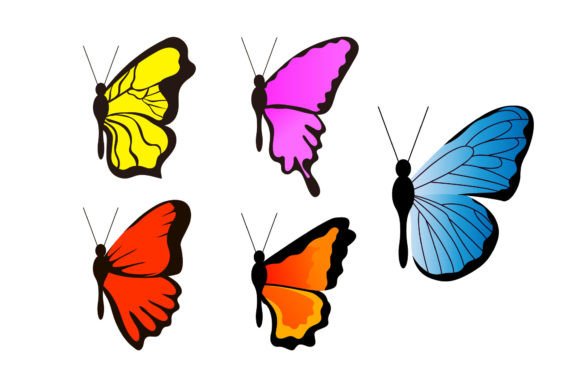 Download Butterfly Drawing - Butterfly drawing Collection