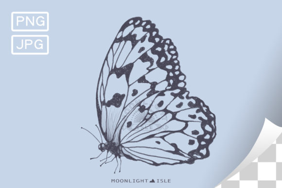 Download Butterfly Drawing | Grey Outline Sketch - Butterfly drawing Collection