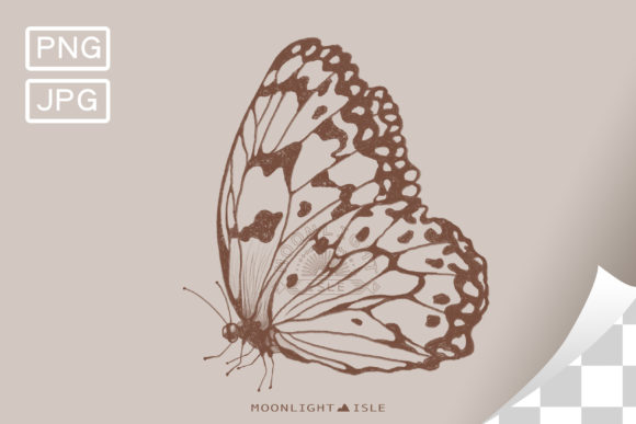 Download Butterfly Drawing | Brown Outline Sketch - Butterfly drawing Collection