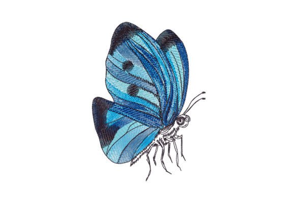 Download Blue Butterfly Drawing - Butterfly drawing Collection