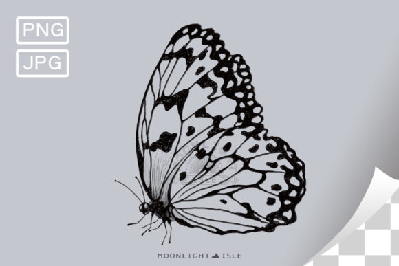 Download Butterfly Drawing | Black Outline Sketch - Butterfly drawing Collection