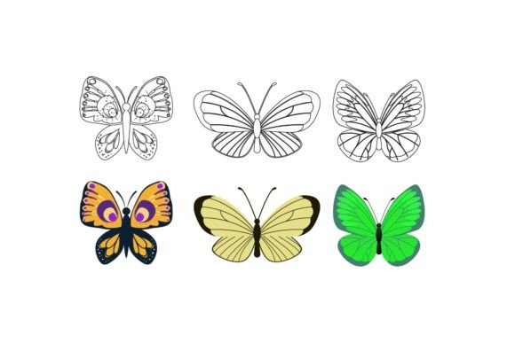 Download Butterfly Drawing - Butterfly drawing Collection