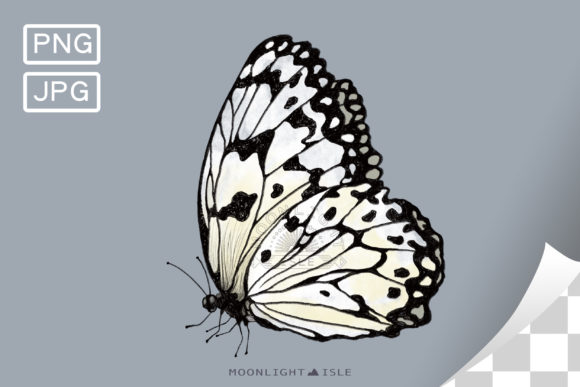 Download Butterfly Drawing | Black X White Sketch - Butterfly drawing Collection